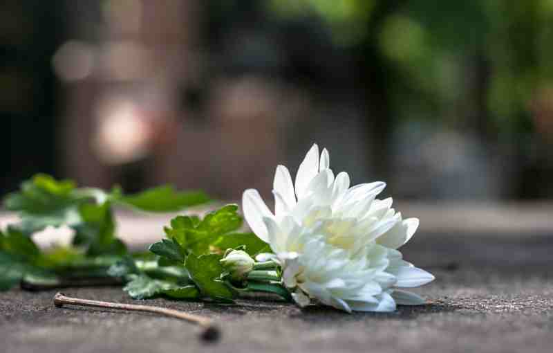 flowers-on-a-catholic-tomb flowers-on-a-catholic-tomb