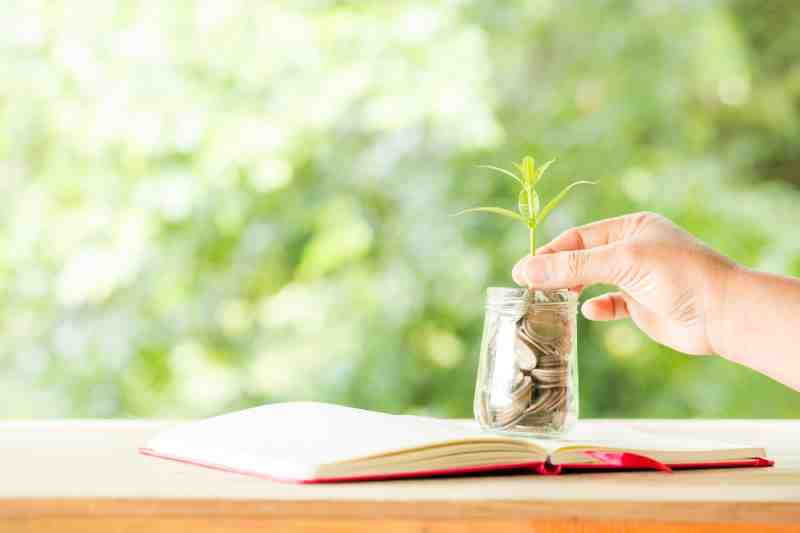 plant-in-coin-glass plant-in-coin-glass